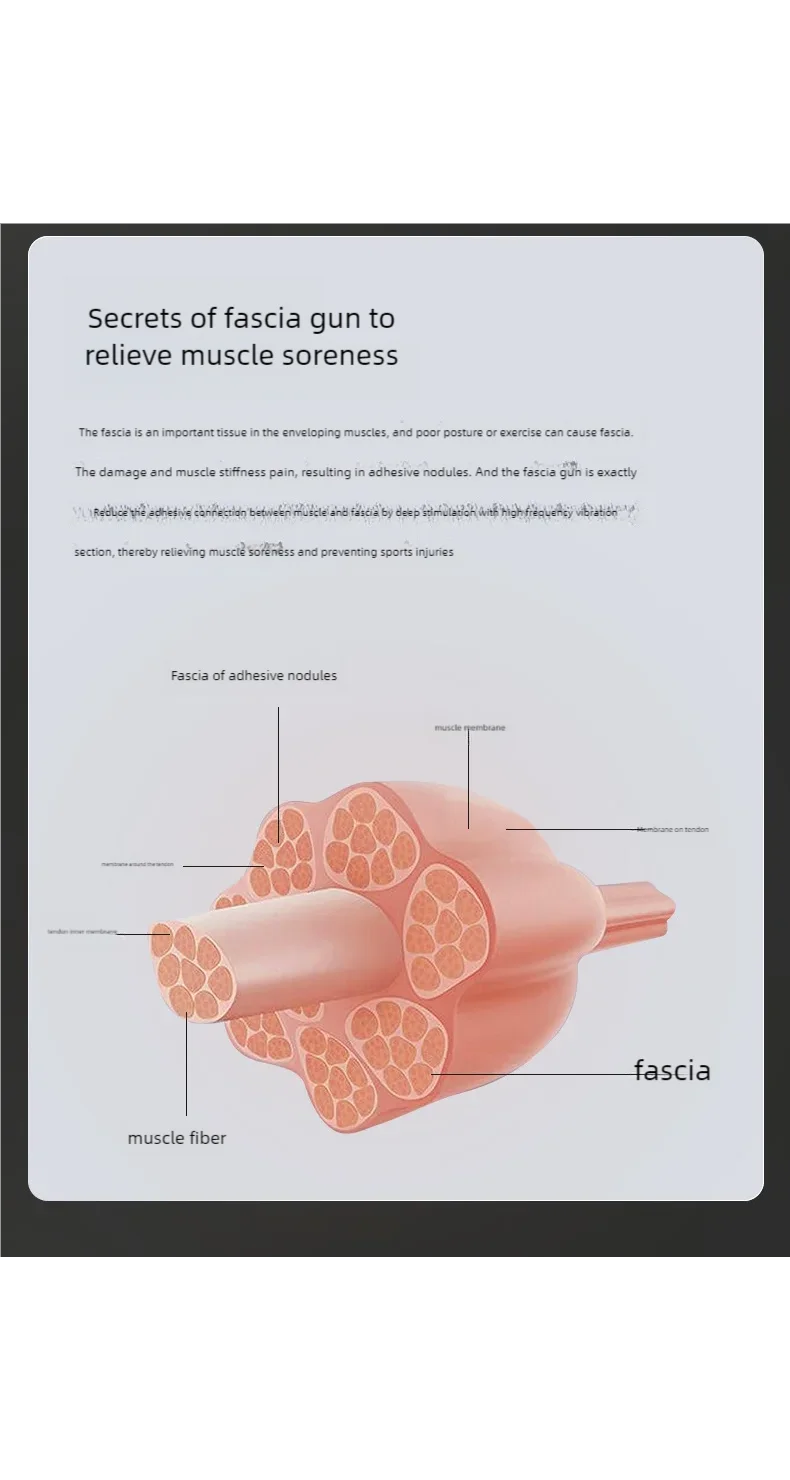 Deep Tissue Massage Gun for Muscle Relief and Recovery